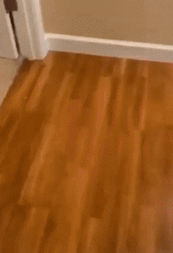 Подборка гифок (25 гифок) - 30.09.2022