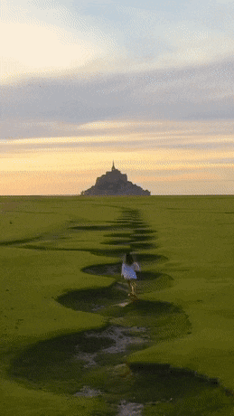 Подборка гифок (25 гифок) - 01.10.2022