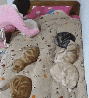 Подборка гифок (25 гифок) - 01.10.2022