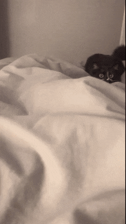 Подборка гифок (25 гифок) - 01.10.2022