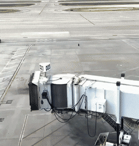 Подборка гифок (25 гифок) - 01.10.2022