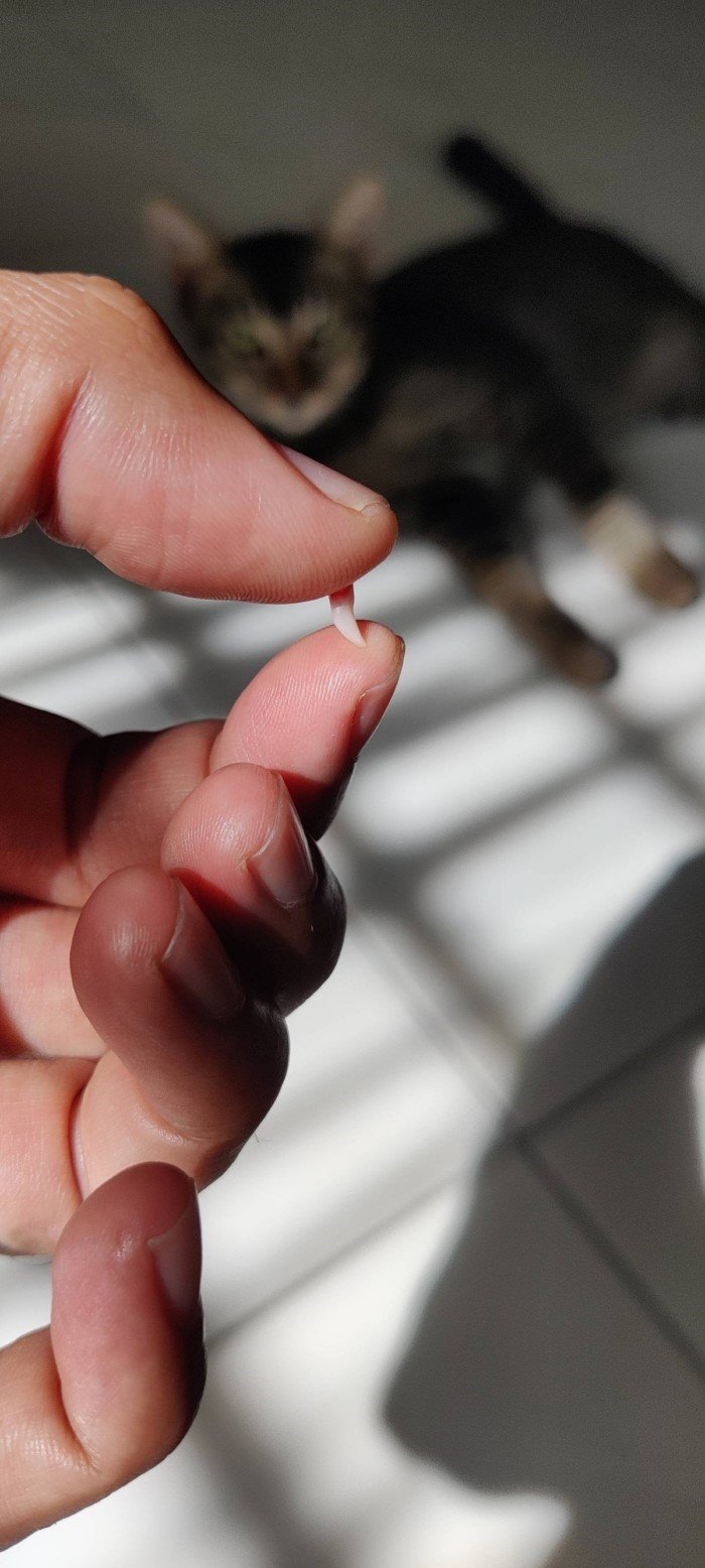 16 фотографий удивительных мелочей 16 фотографий удивительных мелочей