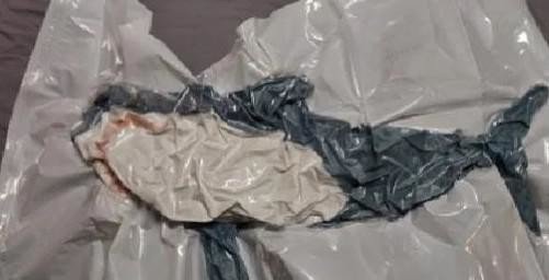 16 фотографий удивительных мелочей 16 фотографий удивительных мелочей