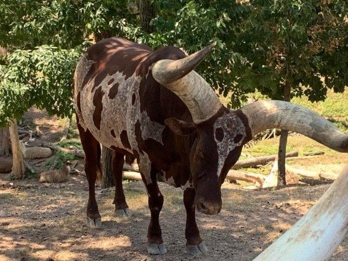 16 фотографий удивительных мелочей 16 фотографий удивительных мелочей