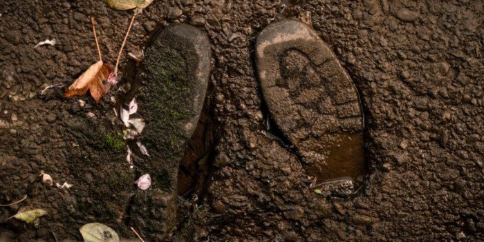 16 фотографий удивительных мелочей 16 фотографий удивительных мелочей