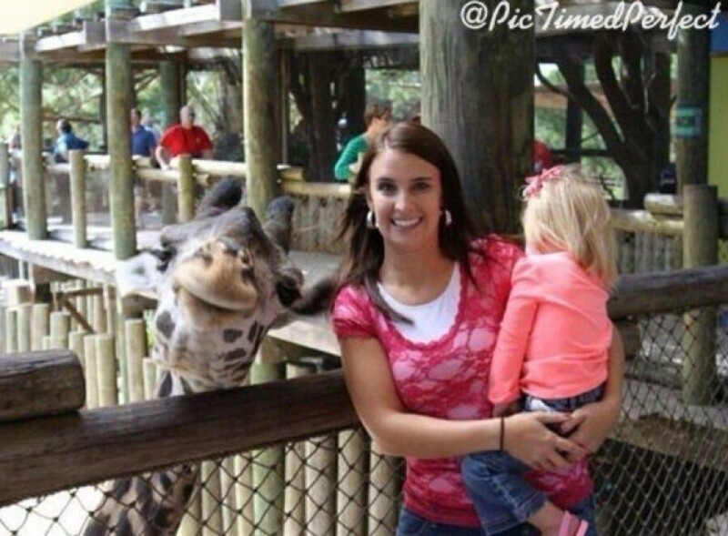 Жираф не растерялся