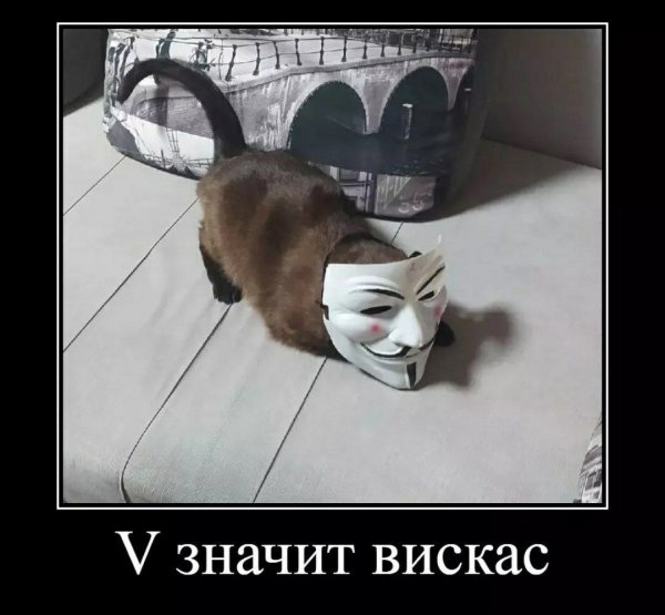 Нестандартный юмор :)