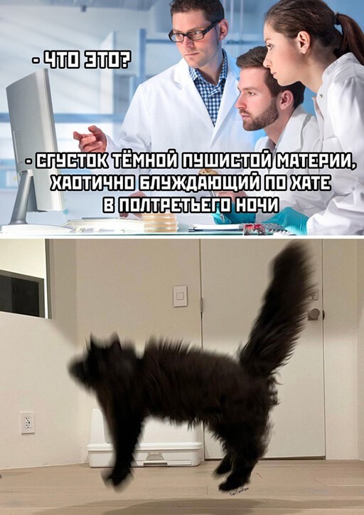 Смешные и познавательные картинки
