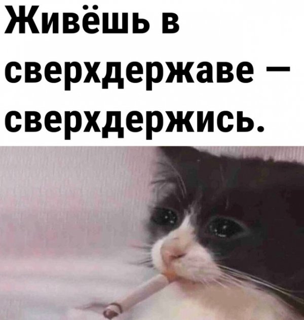 Так себе картинки