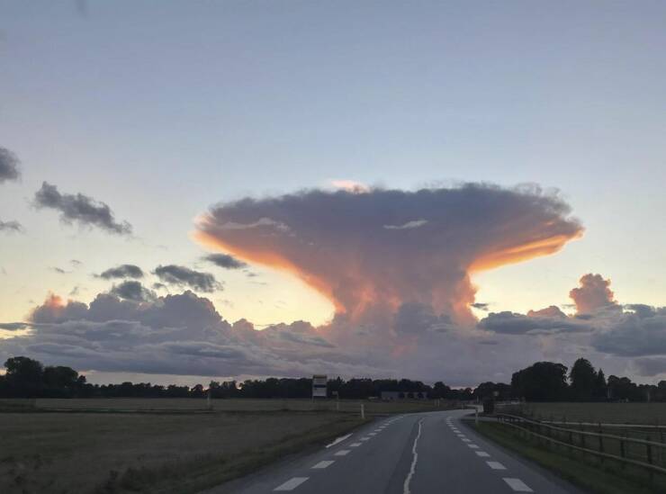 Подборка картинок. Вечерний выпуск (30 фото) - 05.10.2022