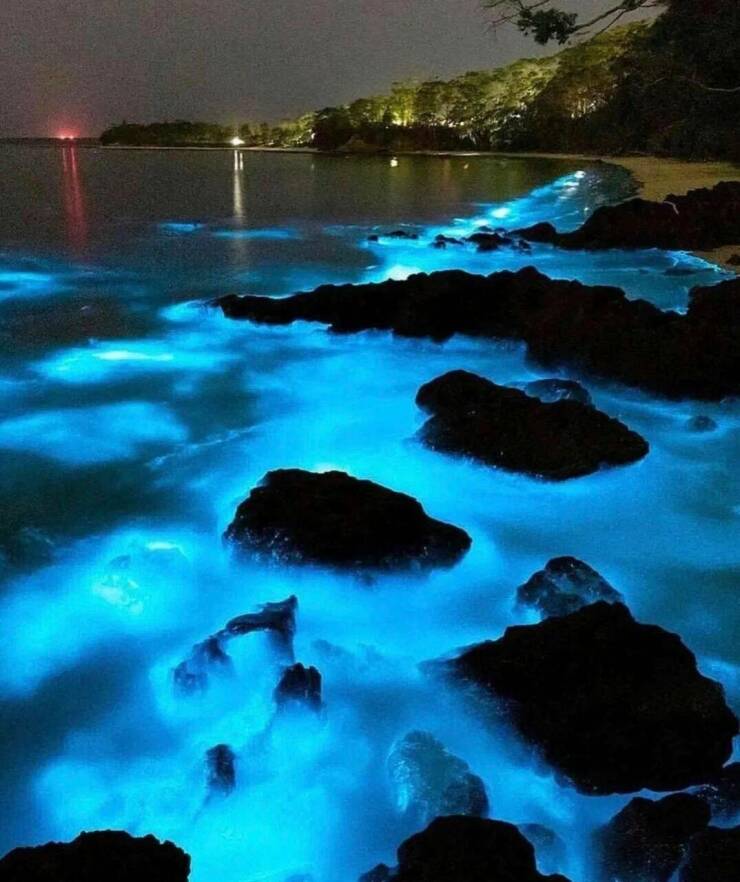 Подборка картинок. Вечерний выпуск (30 фото) - 10.10.2022