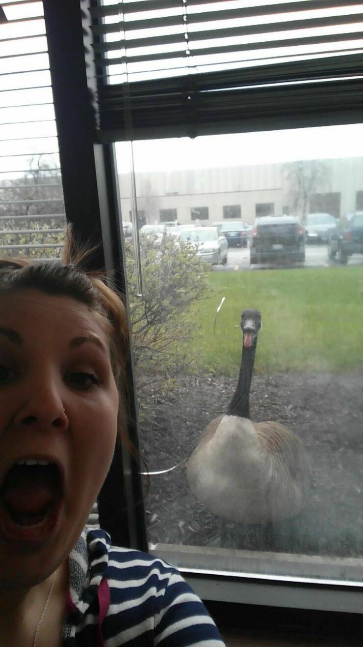 Подборка картинок. Вечерний выпуск (30 фото) - 10.10.2022