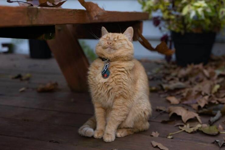 Подборка картинок. Вечерний выпуск (30 фото) - 10.10.2022