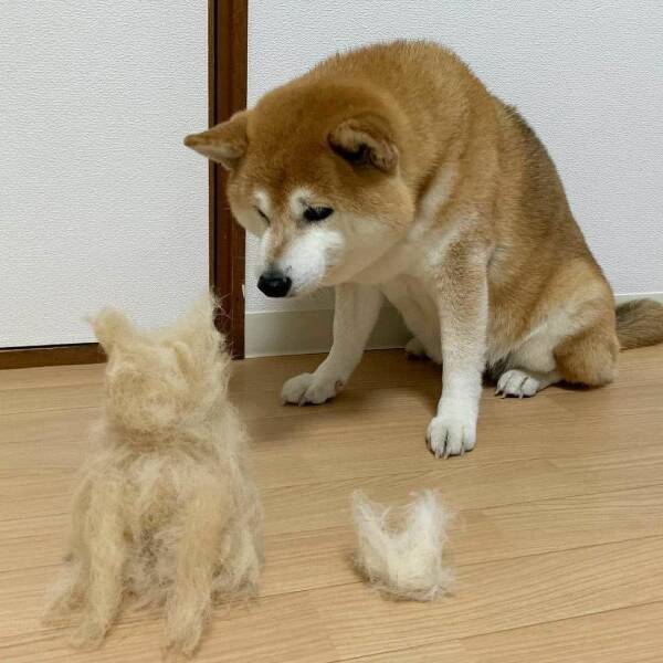 Подборка картинок. Вечерний выпуск (30 фото) - 10.10.2022