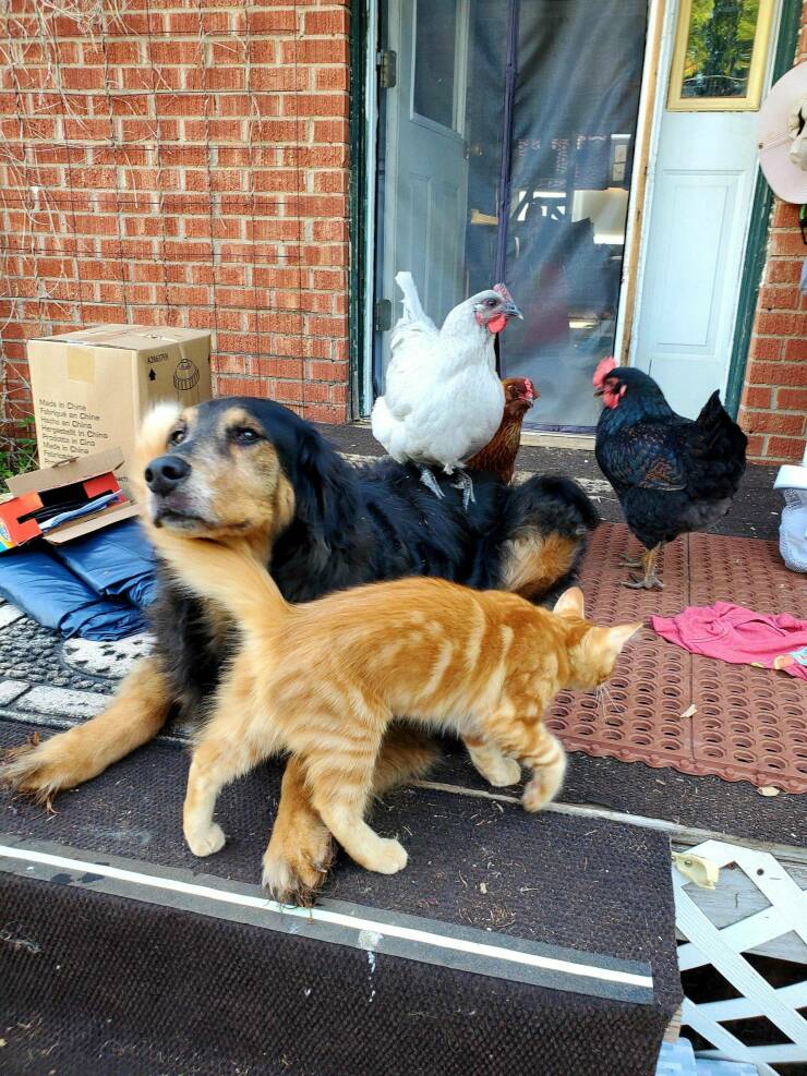 Подборка картинок. Вечерний выпуск (30 фото) - 10.10.2022