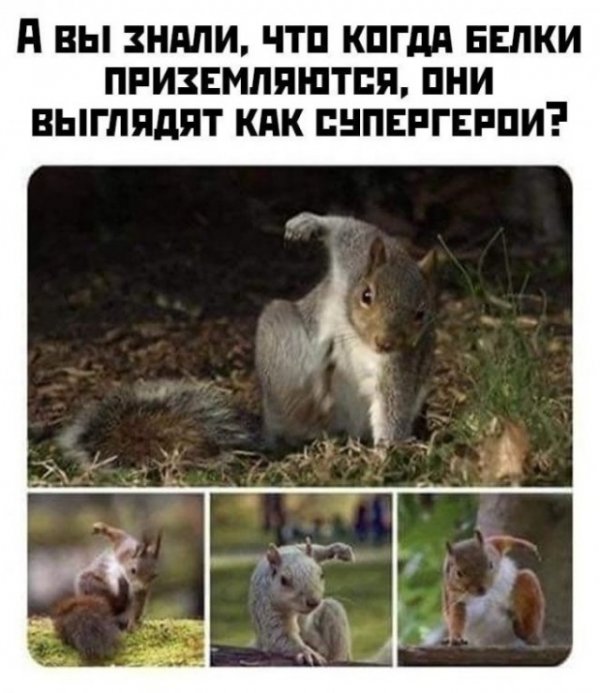 Немного картинок для настроения