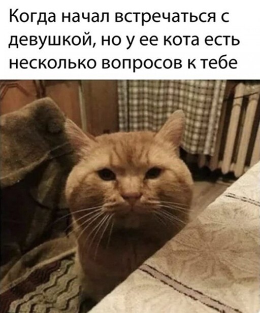Смешные и познавательные картинки