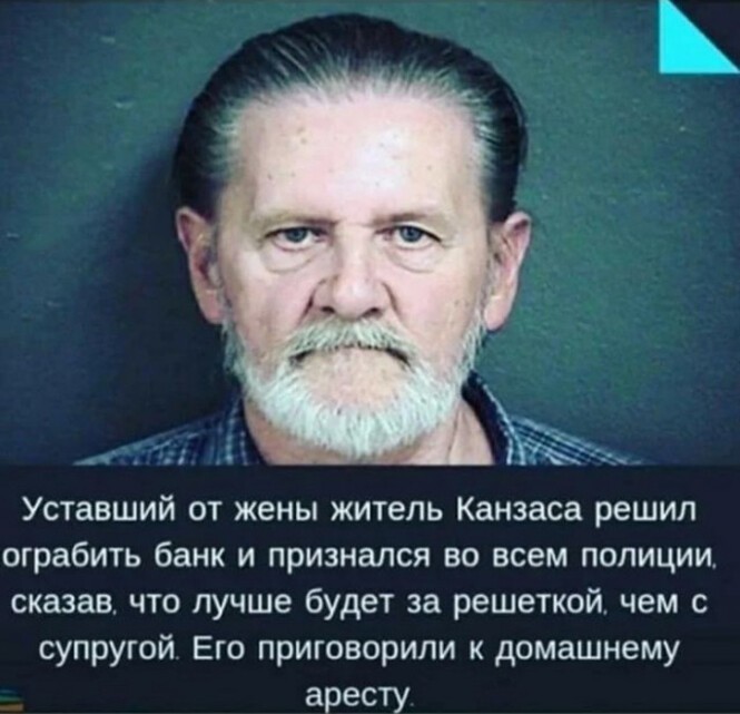 Смешные и познавательные картинки