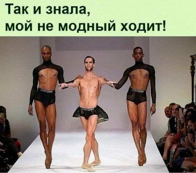 Смешные и познавательные картинки