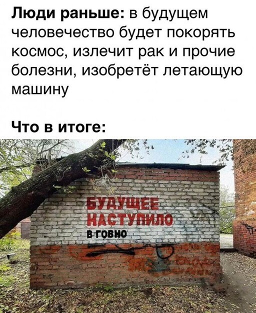 Смешные и познавательные картинки