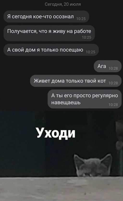 Смешные и познавательные картинки