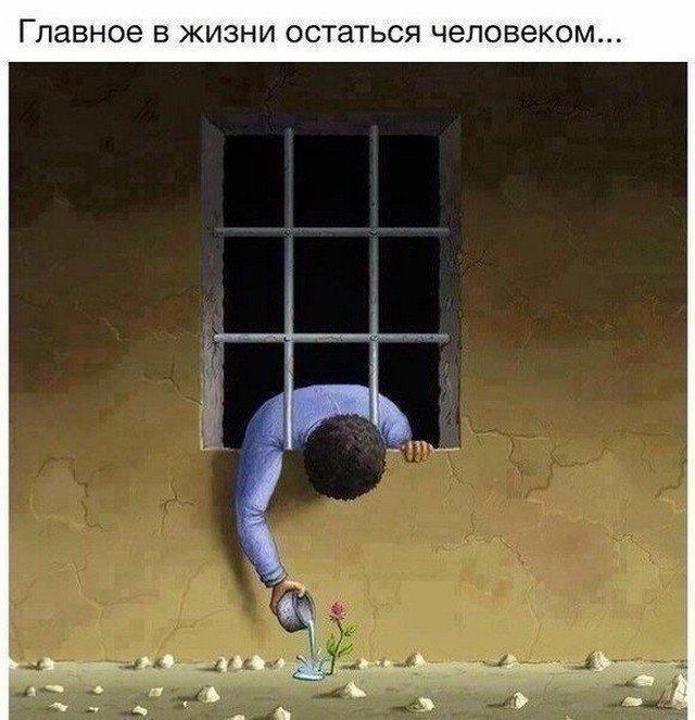 Бодрящие картинки