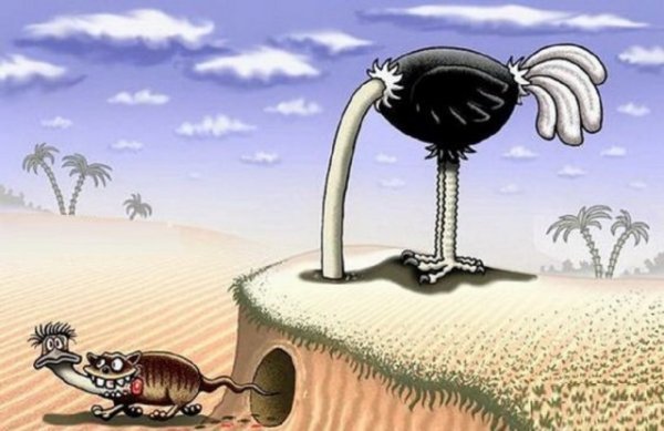 Картинки со смыслом и всякие жизненные фразы