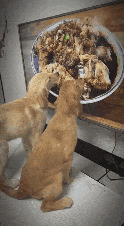 Подборка гифок (25 гифок) - 14.10.2022