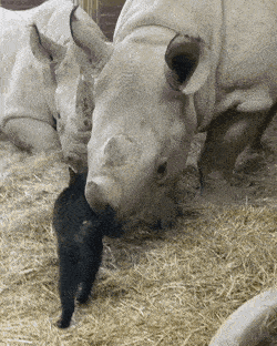 Подборка гифок (25 гифок) - 14.10.2022