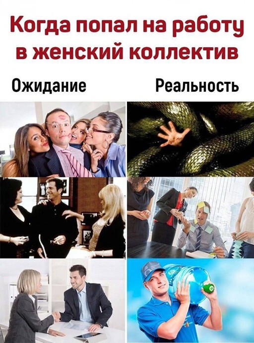 Смешные и познавательные картинки