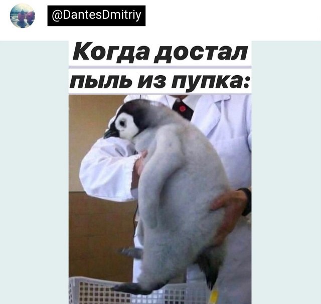 Подборка забавных твитов обо всем