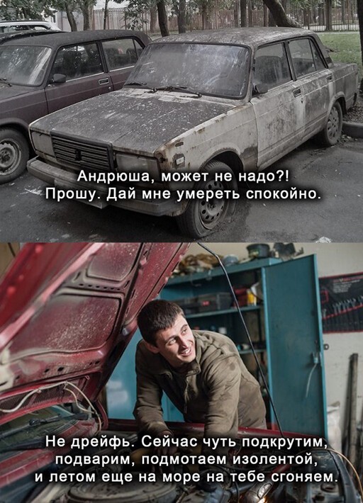 Смешные и познавательные картинки