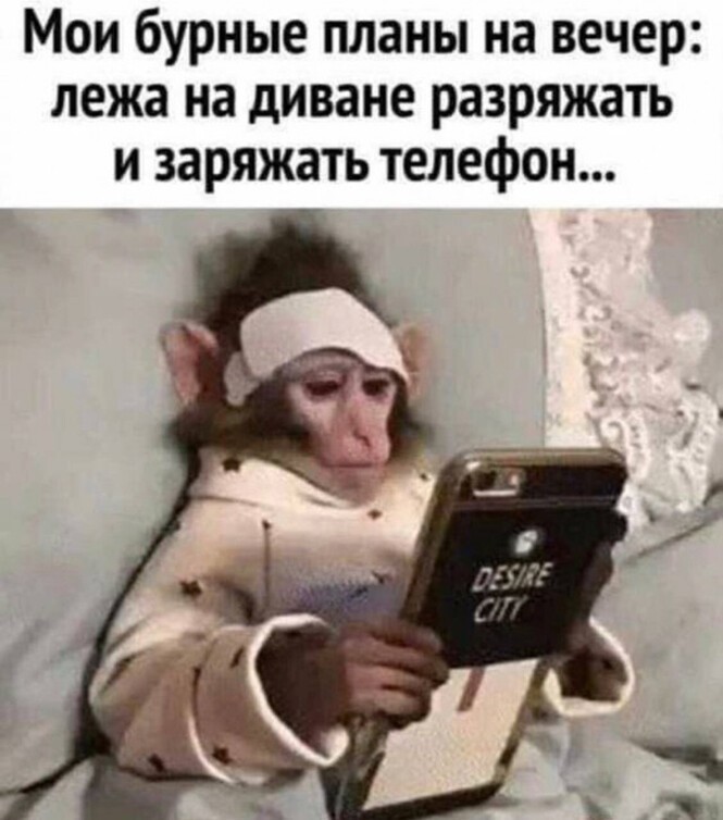 Смешные и познавательные картинки