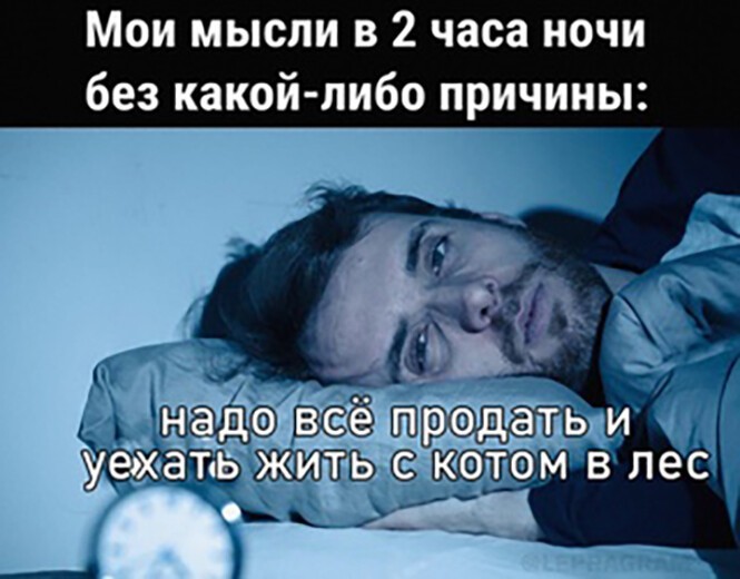 Смешные и познавательные картинки