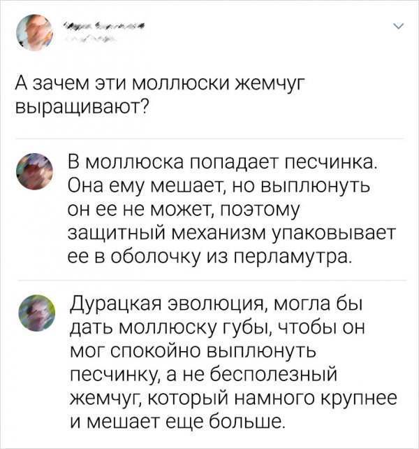 Подборка забавных комментариев
