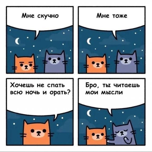 Лучшие шутки и мемы из Сети - 17.10.2022