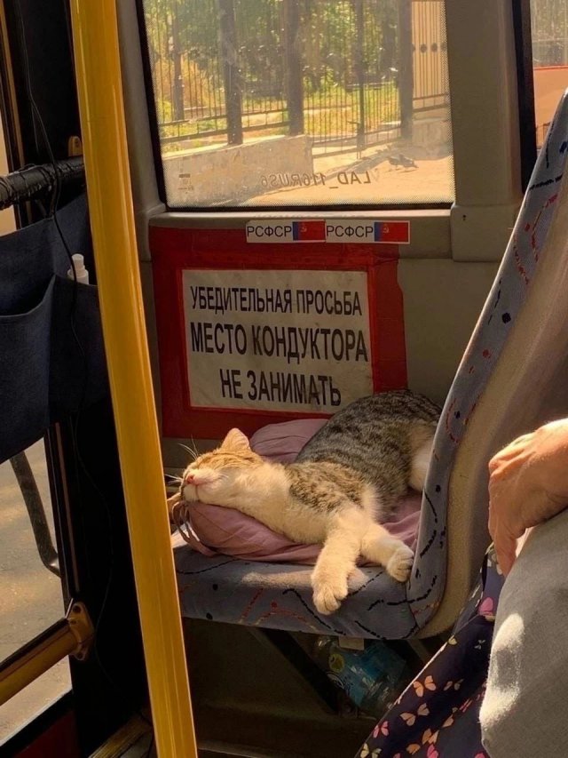 Лучшие шутки и мемы из Сети - 17.10.2022