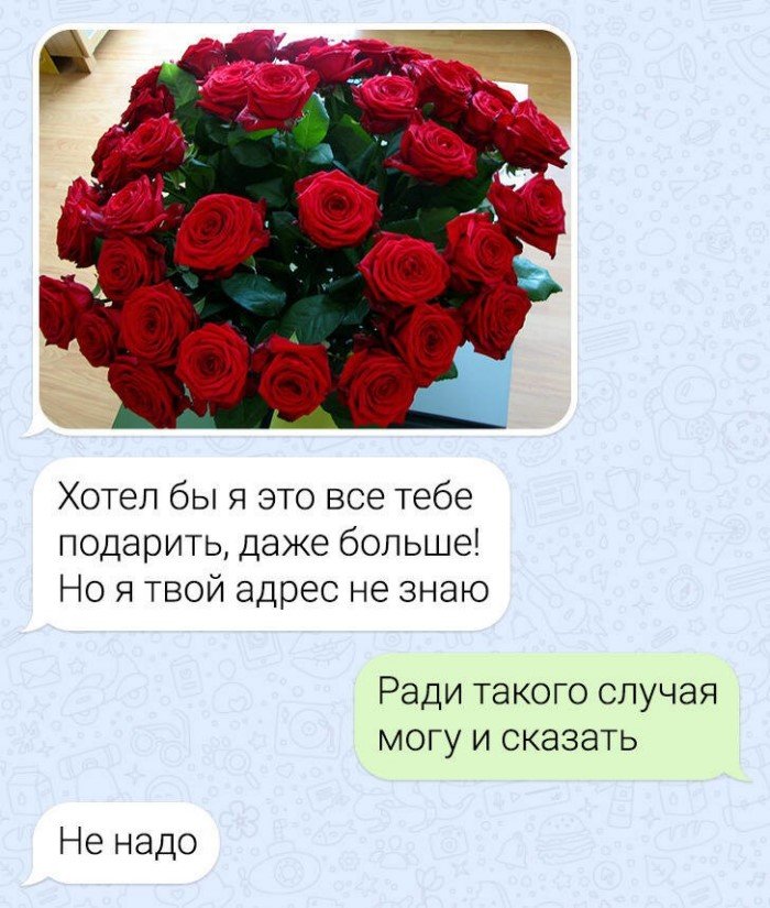 Жемчужина юмора в миллионах строк: подборка забавных переписок из мессенджеров Жемчужина юмора в миллионах строк: подборка забавных переписок из мессенджеров