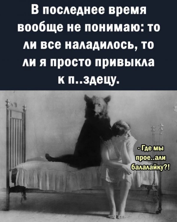 Мемы для взрослых