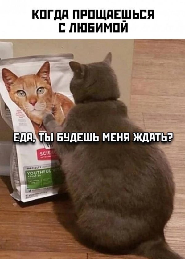 Мемы для взрослых