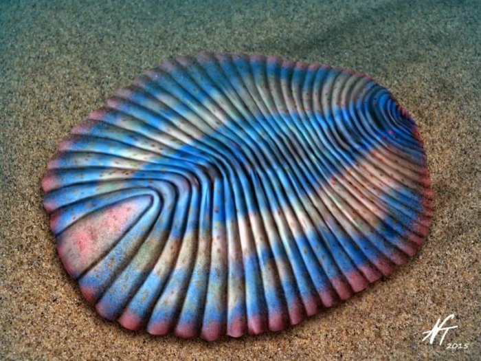 Гениальное просто! 10 фактов про трихоплакса - живой полоске, которая умеет ползать и пугать хищников