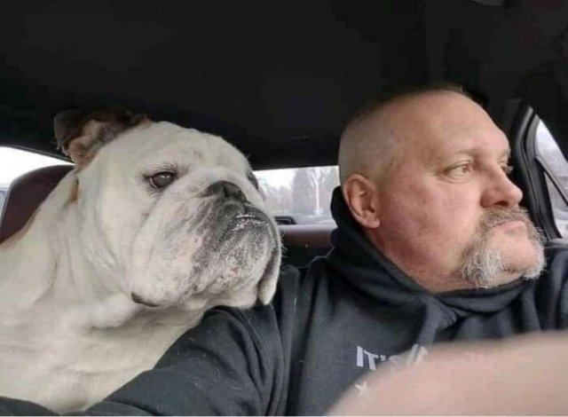 Фотографии из серии &amp;quot;Что здесь происходит?&amp;quot;