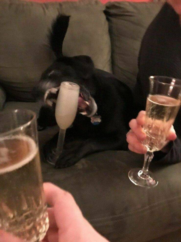 Подборка картинок. Вечерний выпуск (30 фото) - 28.10.2022