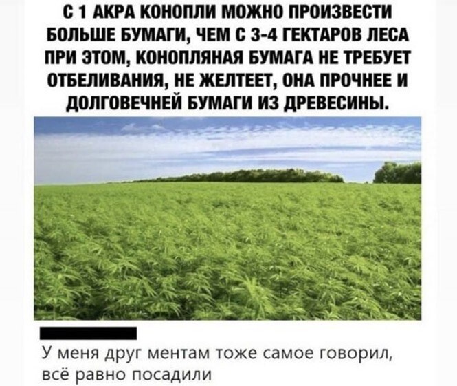 Смешные и познавательные картинки