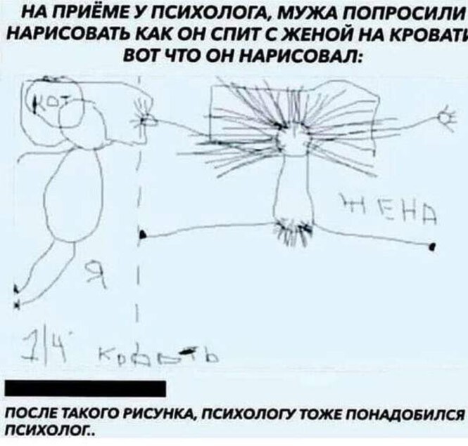 Смешные и познавательные картинки