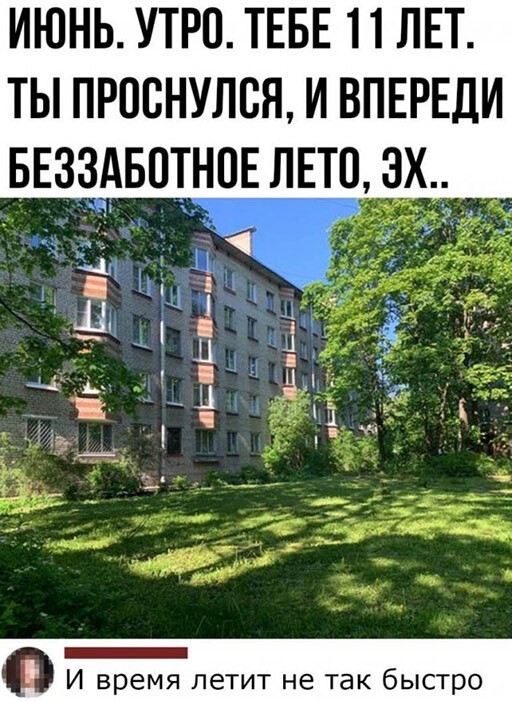 Смешные и познавательные картинки