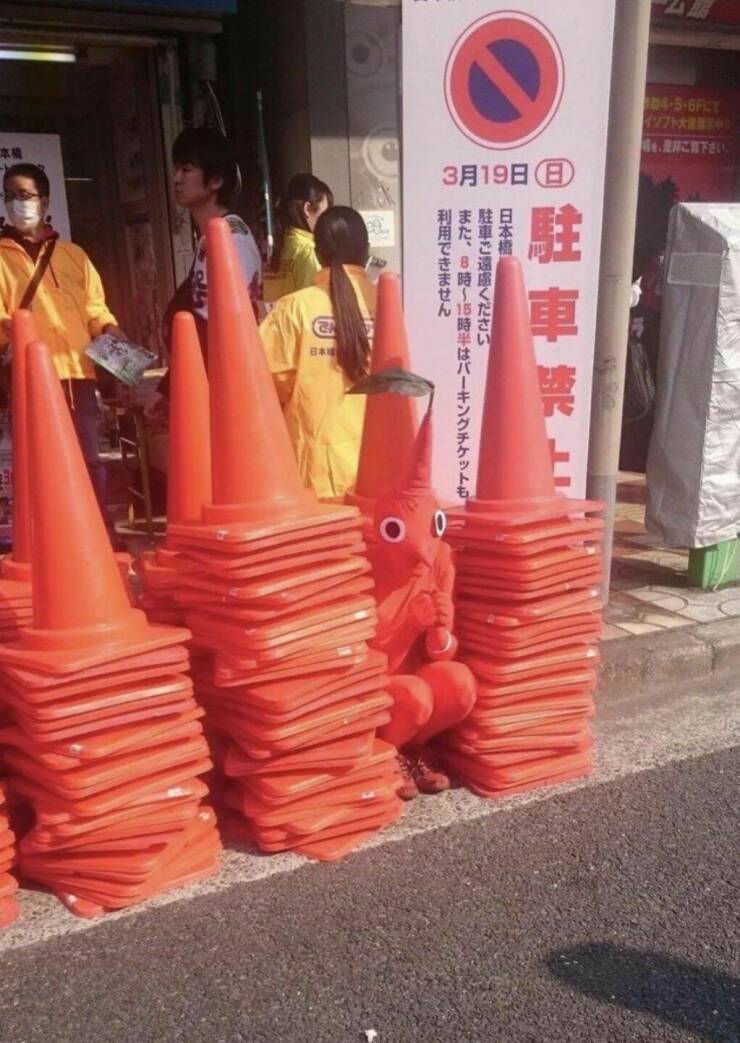 Подборка картинок. Вечерний выпуск (30 фото) - 28.10.2022