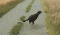 Подборка гифок (25 гифок) - 24.10.2022