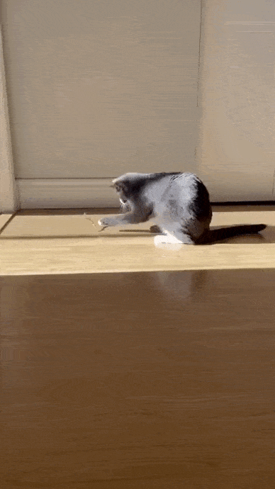 Подборка гифок (25 гифок) - 24.10.2022