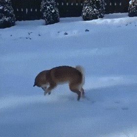 Подборка гифок (25 гифок) - 24.10.2022